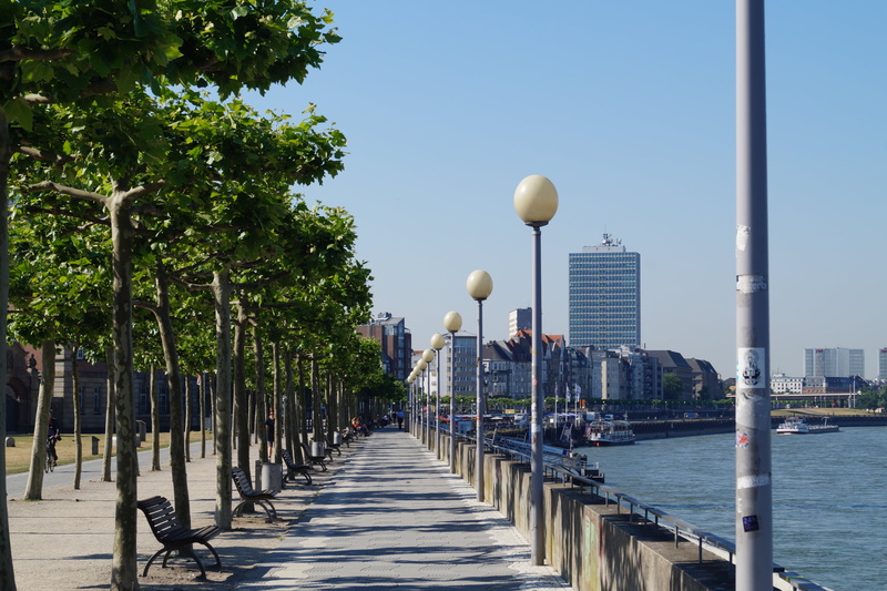 street light, building, outdoors, skyscraper, transportation, day, plant, 5K, summer, nature, built structure, building exterior, railing, cityscape, dusseldorf