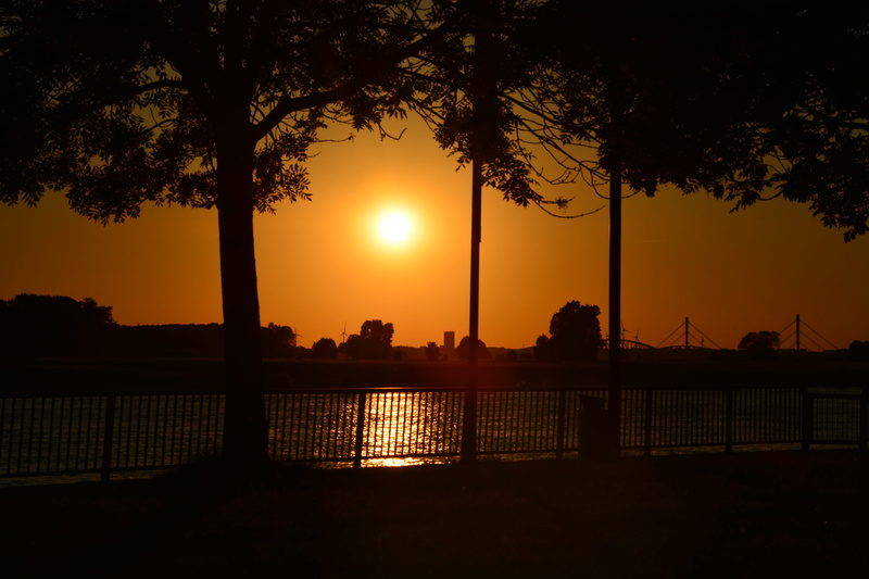germany, scenics - nature, plant, fence, orange color, silhouette, orange, boundary, no people, tranquility, nature, outdoors, rhein, 5K, city, duisburg