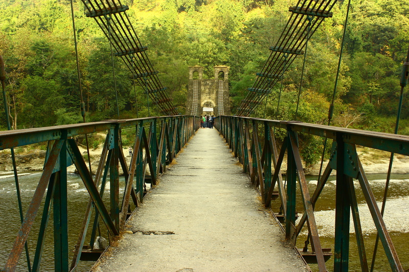 tree, built structure, pedestrian bridge, the way forward, bridge, outdoors, plant, footbridge, suspension bridge, no people, footpath, architecture, day