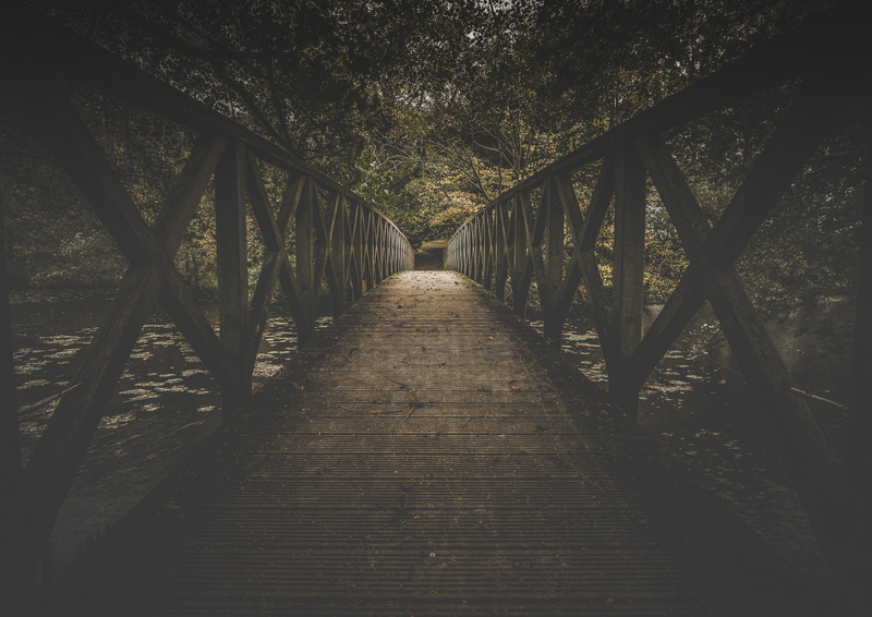scenics, woodland, tranquil Scene, tree, river, forest, summer, bridge, 5K, wooden, railing, brown, plant, built structure, trees, connection, bridge - Man Made Structure