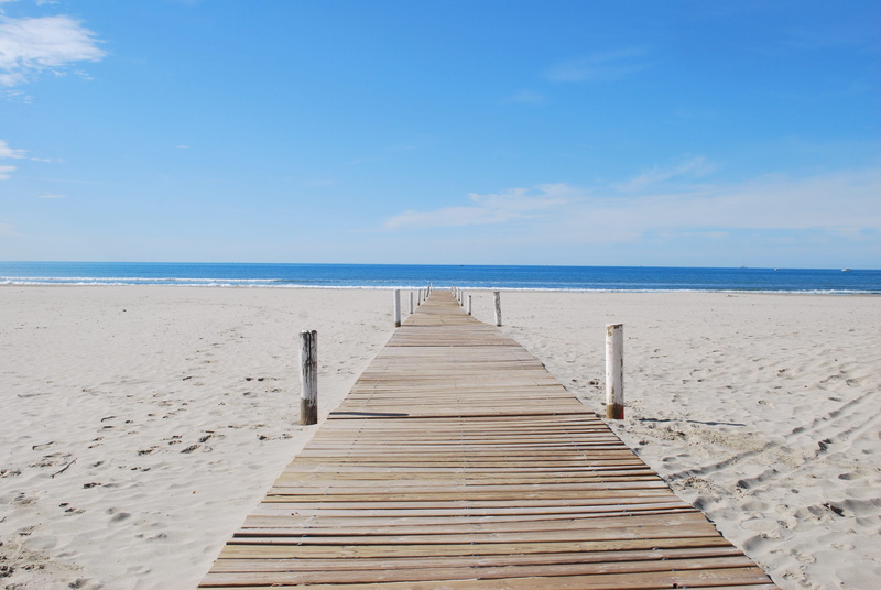 land, day, beauty in nature, water, wood paneling, the grand travers, beach path, direction, outdoors, Path, idyllic, long, Beach, wood, the way forward