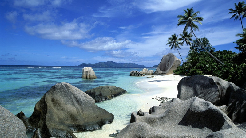land, rock, tree, horizon, water, sea, sky, palm trees, seashore, landscape, tranquility, no people, rock - object, cloud - sky, plant, coconut palm tree
