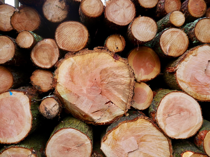 timber, tollymore, woodpile, logs, backgrounds, close-up, textured, irish, fuel and power generation, log, fossil fuel, no people, full frame