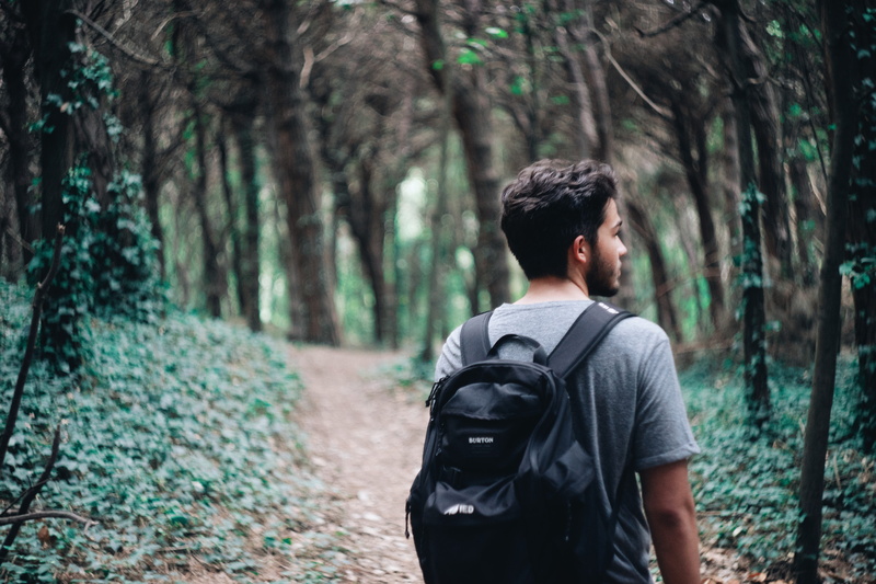 one person, focus on foreground, day, young adult, real people, outdoors, trees, rear view, men, growth, woodland, chioggia, lifestyles, nature, forest