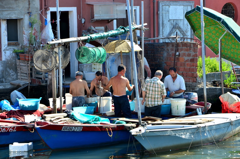 architecture, transportation, nautical vessel, water, fish market, day, real people, group of people, people, rear view, chioggia, fishing boats, women