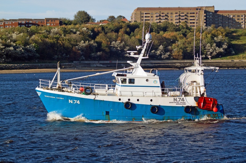 north shields, transportation, outdoors, waterfront, day, water, trawlers, tree, nautical vessel, river tyne, yacht, nature, blue, sea, 2K, craft, plant