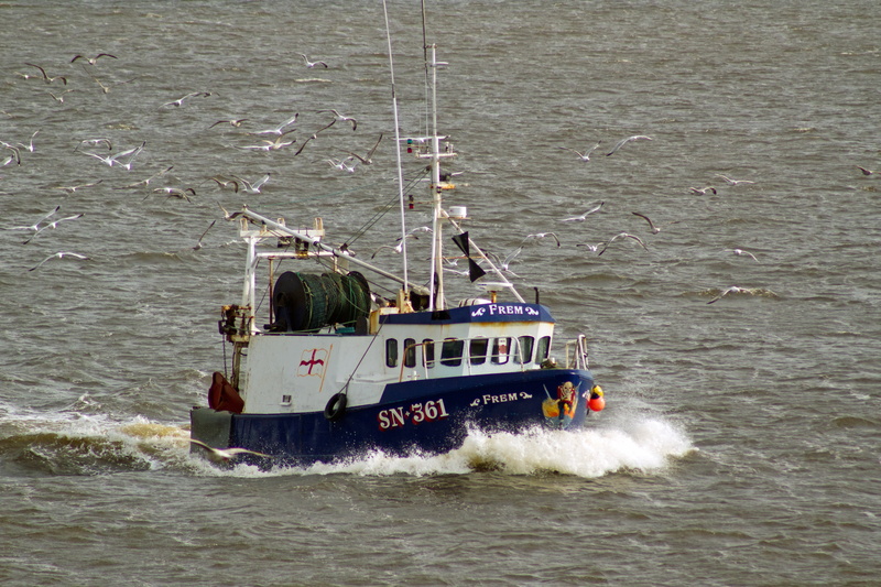 trawler, arrival, speed, outdoors, on the move, people, nautical Vessel, wave, military training, transportation, military, river tyne, motion, sea, business