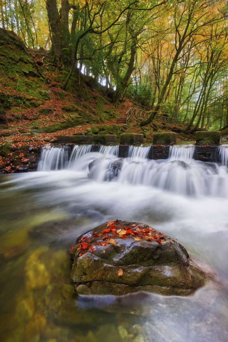 stream - flowing water, clear water, beauty in nature, photograph, tollymore, moss, rock - object, motion, nature, waterfall, rocks, rock, flowing water