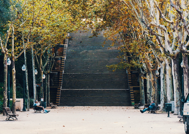 day, change, real people, footpath, autumn, architecture, car, trunk, land, outdoors, city, urban, 4K, plant part, near, walk, built structure, tree, trees