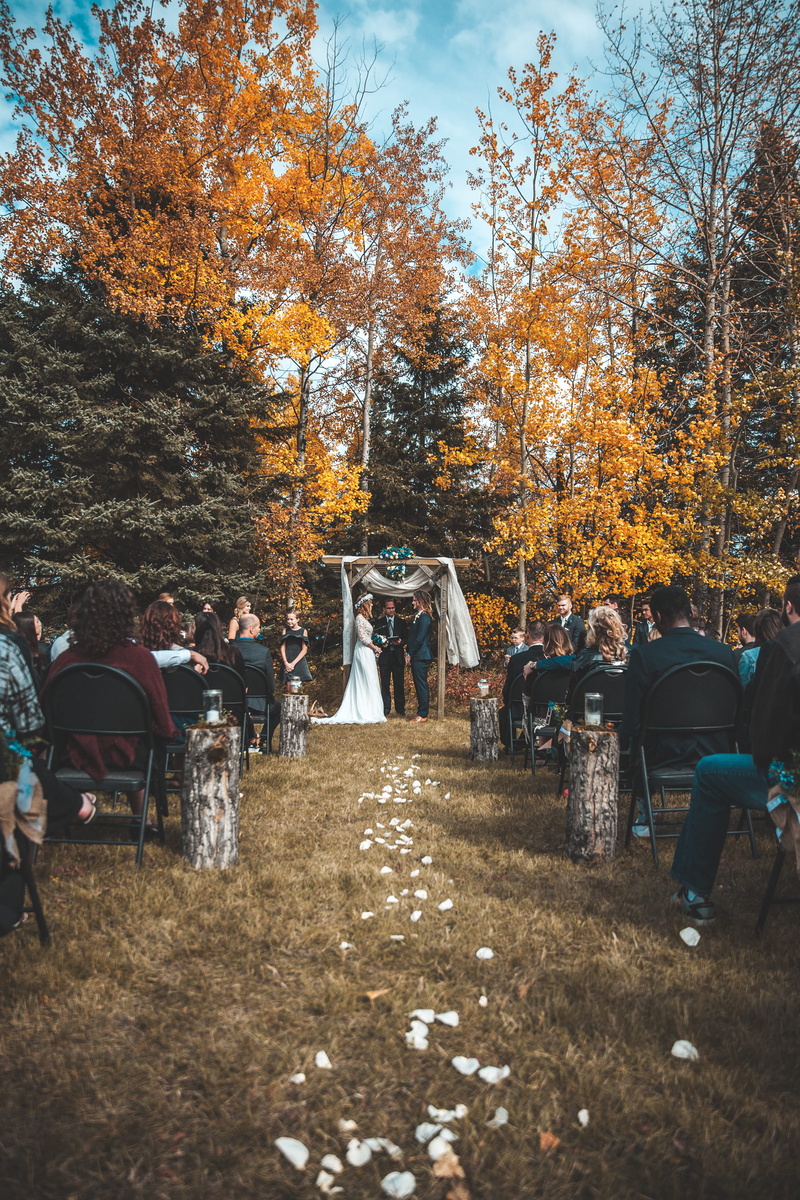 fall, groom, beside, woman, arbor, beauty in nature, aisle, leaf, petals, change, bride, crowd, wedding dress, white, women, priest, orange color, men