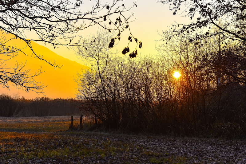 leaf, autumn, landscape, foilage, 2K, tree, fall, leaves, nature
