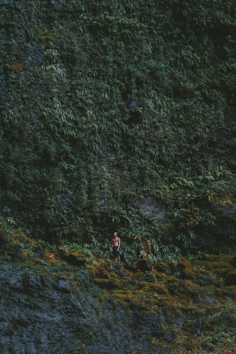 one person, hawaii, sun, kaui, landscape photography, cloudy, maui, foilage, leisure activity, growth, day, getaway, tranquility, tree, small scale, 5K