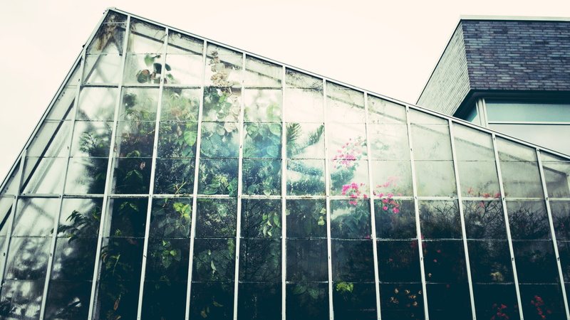 nature, office building exterior, luxury, glass - material, mirror, facade, greenhouse, flower, office, foilage, glass, building exterior, day, skyscraper