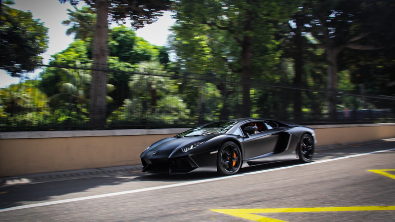 luxury, speed, nature, green color, 1080P, growth, sunlight, focus on foreground, Lamborghini Aventador, motion, land vehicle, car, tree, plant, motor vehicle