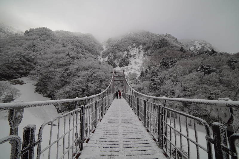 architecture, diminishing perspective, photo, footbridge, halla, lifestyles, outdoors, tree, direction, the way forward, snow, 4K, connection, snow mountain