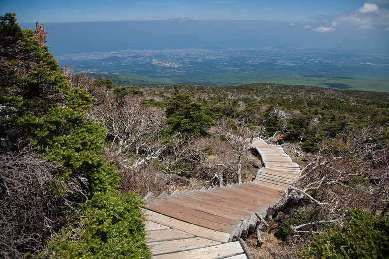 jeju island, blue, halla, outdoors, staircase, scenics, mountain, architecture, no people, footpath, growth, direction, wood paneling, plant, 5K, the way forward