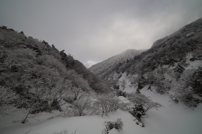 nature, plant, winter mountain, snowcapped mountain, in the cold, land, tranquil scene, halla, snow, non-urban scene, climbing, pine tree, snow mountain