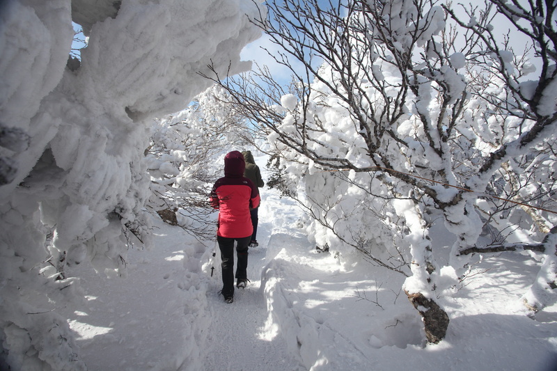 real people, day, white color, snow flower, adult, warm clothing, wood, outdoors, the mountain top, leisure activity, nature, halla, landscape, full length