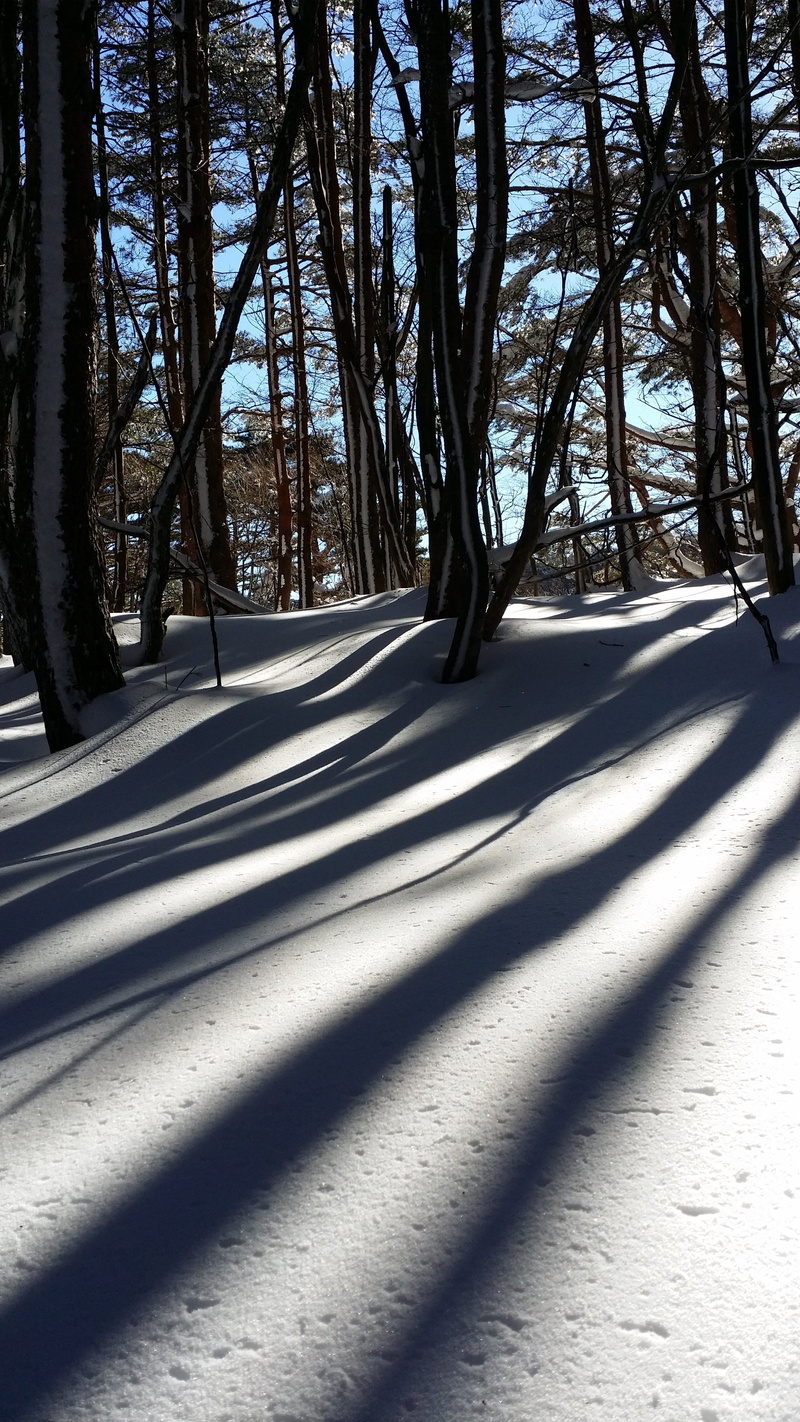 no people, forest, climbing, trunk, winter mountain, cold temperature, road, winter, wood, snow mountain, scenics - nature, halla, nature, tranquil scene