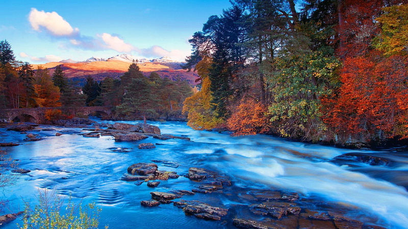 runnel, stream - flowing water, tree, scenics - nature, tranquil scene, tranquility, water, no people, change, flowing water, nature, 1080P, forest, sky