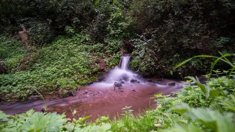 tree, blurred motion, motion, nature, stream, tranquility, creek, forest, bourn, foliage, runnel, flowing water, 5k uhd, beauty in nature, waterfall, growth
