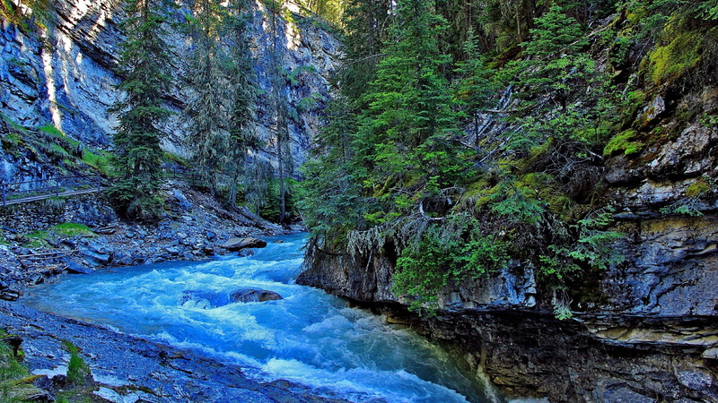 rock, ravine, waterfall, plant, stream - flowing water, pine tree, solid, scenics - nature, rock - object, body of water, wilderness, canyon, 1080P, stream