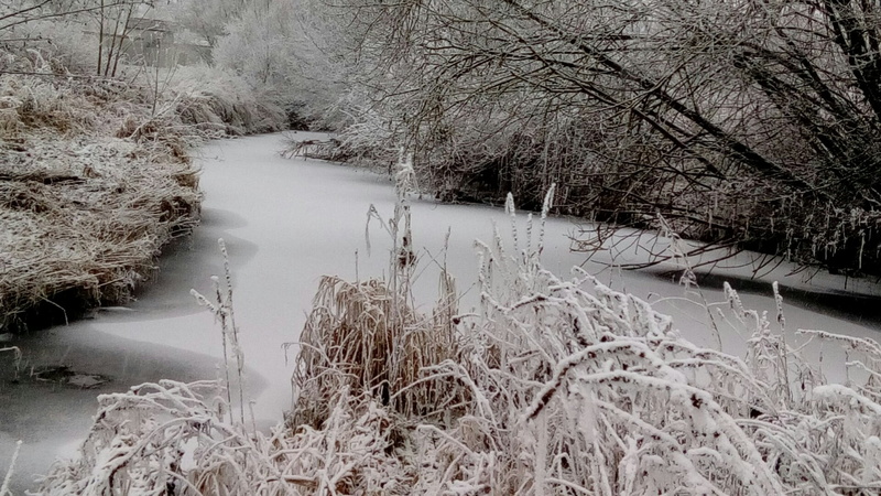 snow, icey, frosty, growth, scenics - nature, day, nature, cold temperature, winter, river, 1080P, tranquil scene, beauty in nature, cold, flowing water