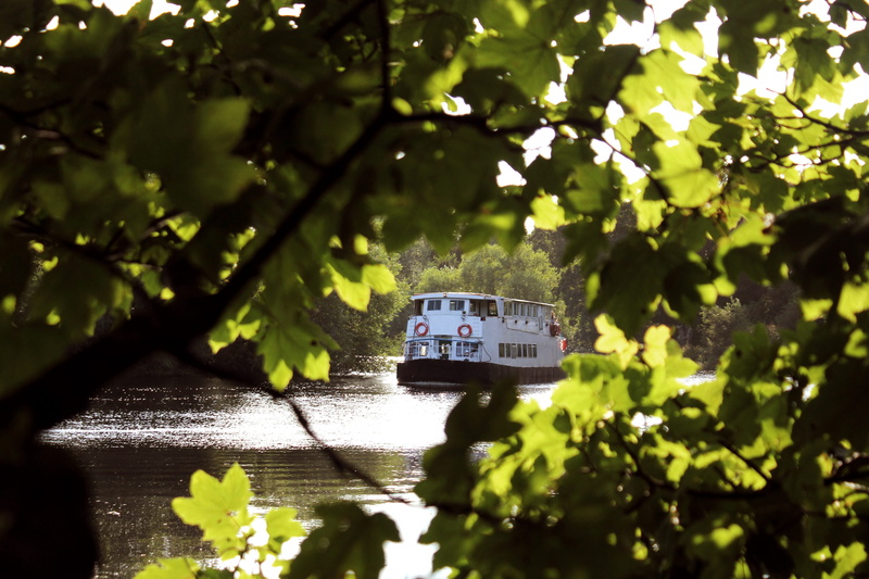 nature, focus on background, no people, tees, peaceful, 5K, tree, day, preston park, transportation, outdoors, boat, stockton-on-tees, selective focus