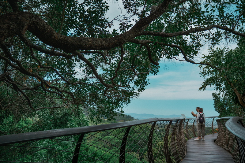 railing, water, outdoors, nature, 5K, plant, lifestyles, tranquil scene, cape town, tree, people, south africa, beauty in nature, holiday, real people