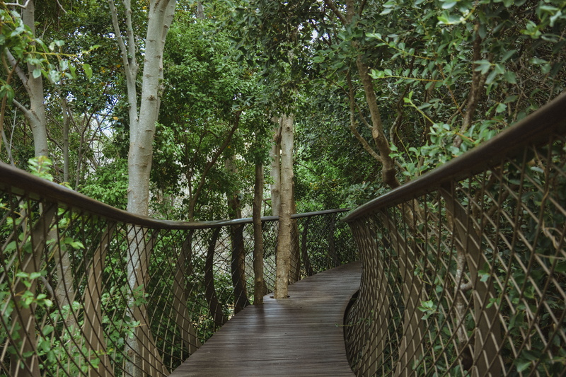 connection, day, architecture, growth, tranquility, south africa, tranquil scene, diminishing perspective, railing, direction, beauty in nature, footpath
