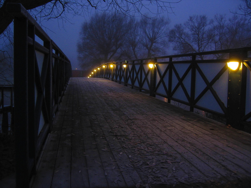 direction, bridge - Man Made Structure, footbridge, architecture, autumn, the way forward, dusk, himmel, built structure, tree, paving stone, bro, night