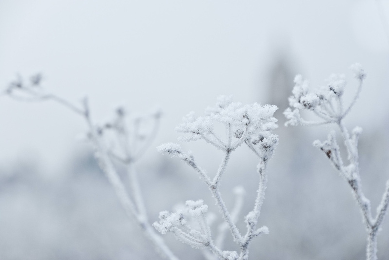 outdoors, winter, snowing, copy space, nature, ice, silver colored, fragility, snowflake, frost, cold temperature, white color, beauty in nature, close-up
