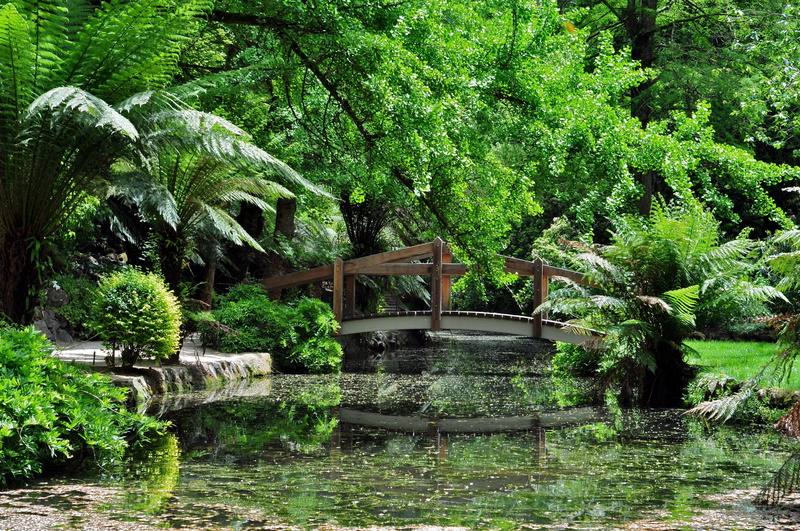 flowing, outdoors, water, plant, flowing water, day, bridge, green color, built structure, growth, tranquility, park, landscape, bridge - man made structure