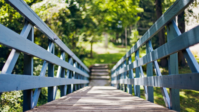 architecture, bridge, direction, no people, connection, built structure, day, footpath, wood paneling, focus on foreground, 1080P, bridge - man made structure