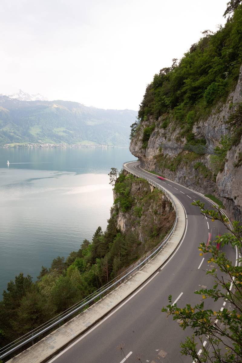 tree, tranquility, direction, plant, no people, curve, road, marking, water, thunersee, day, scenics - nature, sky, lake thun, the way forward, outdoors