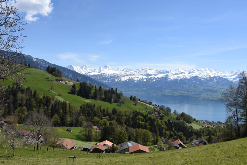 sky, plant, distant view, tree, Switzerland, scenics - nature, building, scenics, building exterior, Lake Thun, green color, built structure, house, landscape