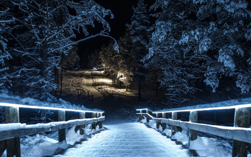 stairs, footbridge, snowing, no people, white color, the way forward, railing, winter, diminishing perspective, plant, direction, built structure, illuminated