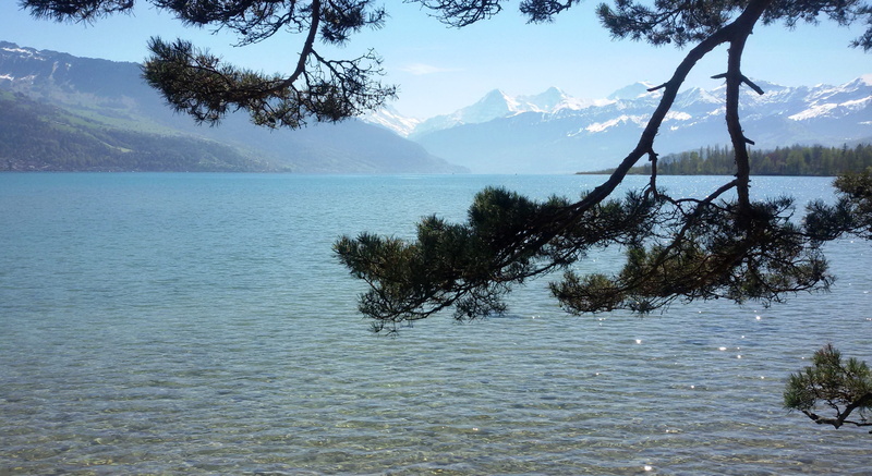 scenics, Bank, beauty in nature, coniferous tree, scenics - nature, mood, mountain peak, plant, tranquility, sky, Landscape, no people, 2K, water, Switzerland
