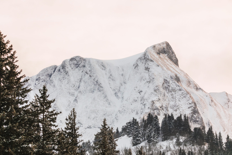 pine tree, sky, 5K, bush, snow-covered, low angle view, nature, snow, coniferous tree, mountain, eiskristalle, branches, different ways, non-urban scene