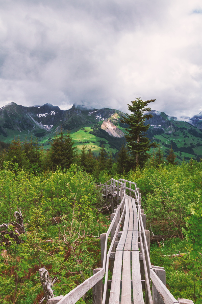 growth, alone, tranquil scene, no people, boardwalk, green color, wood - material, hiking, Nature, switzerland, non-urban scene, gurnigel, scenics - nature
