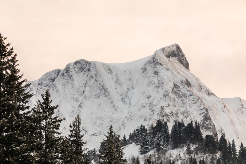 bush, cold, trees, switzerland, snowcapped mountain, gantrisch, eiskristalle, high, snow, gurnigel, branches, frozen, nature, white, tranquility, different ways
