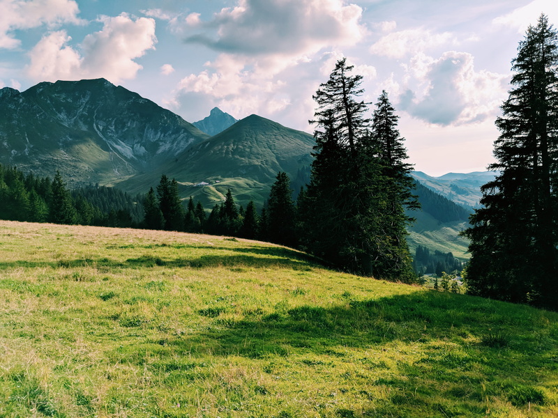 golden hour, switzerland, plant, mountain, green color, phone, grass, growth, land, beauty in nature, green, trees, landscape, gurnigel 4, sky, no people