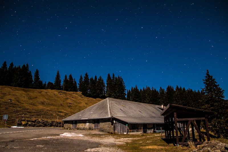 sky, plant, galaxy, tranquility, lights, idyllic, light, space, shooting star, tree, switzerland, evening sky, space and astronomy, star - space, environment