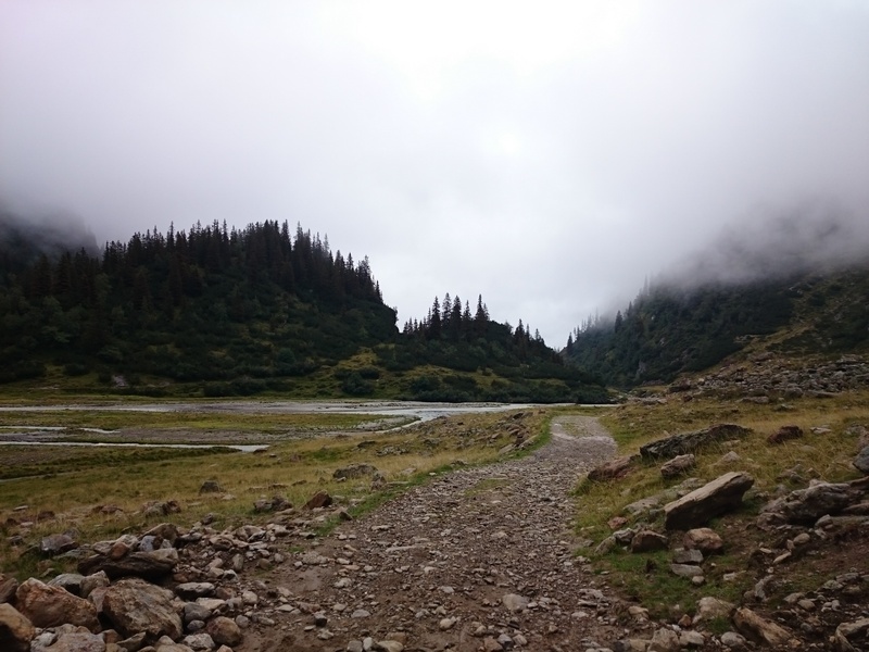foothills of the alps, tranquil scene, trail, hike, tyrol, outdoors, tree, environment, plant, away, nature, non-urban scene, beauty in nature, flowing