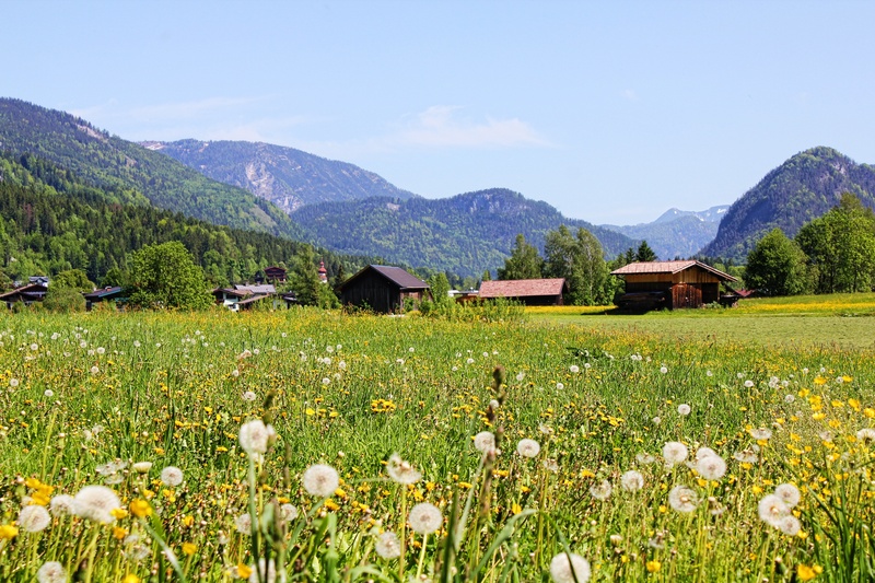 day, green color, meadow, flowering plant, scenics - nature, mountain, lofer, sky, relax, landscape, no people, field, mountain range, plant, 2K, panorama