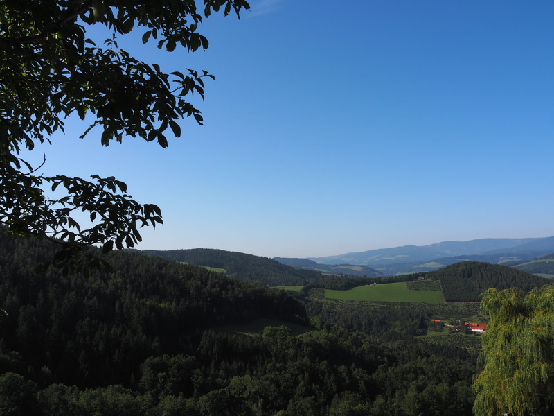 growth, cereals, relax, atmosphere, trees, tranquil scene, foothills of the alps, rest, panorama, dom, romantic, green color, tranquility, relaxation, nature trail