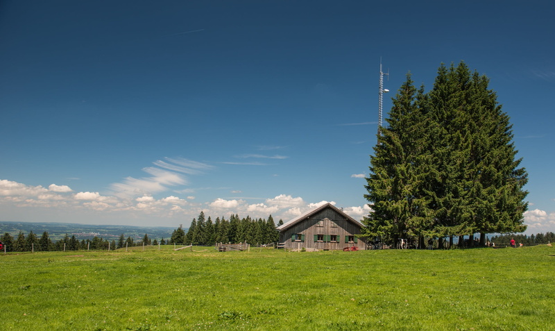 field, blue, plain, residential district, building, day, 1080P, grass, bregenz, green color, built structure, clouds, austria, no people, pledges, tree