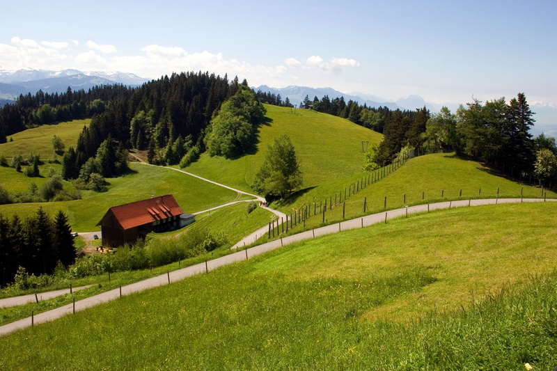 cloud - sky, non-urban scene, mountain range, landscape, day, pine tree, no people, mountain, land, bregenz, vorarlberg, tree, beauty in nature, grass