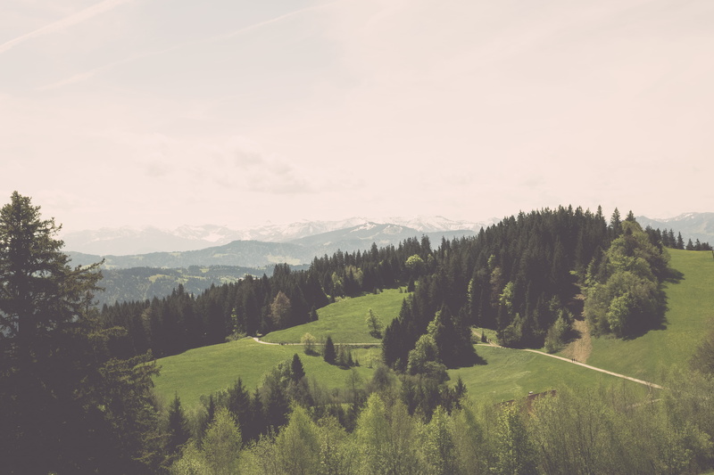 idyllic, bregenz, no people, highlands, outdoors, landscape, beauty in nature, nature, forest, day, land, bregenz pfänderbahn, coniferous tree, tree, adventure