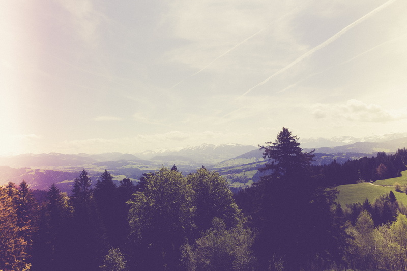 top view, environment, tree, non-urban scene, coniferous tree, land, day, alps, mountain range, bregenz, plant, mountain, nature, sky, tranquility, no people